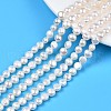 Natural Cultured Freshwater Pearl Beads Strands PEAR-N014-07C-1