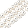 Rainbow Plated Shell Pearl Bead Strands BSHE-L025-02-10mm-1