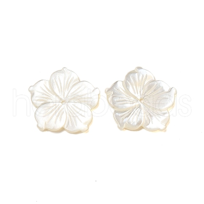 Natural White Shell Beads SHEL-M021-08C-1