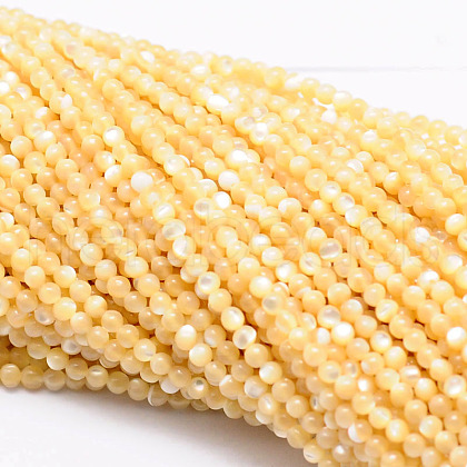 Natural Sea Shell Round Bead Strands SSHEL-M013-2mm-02-1