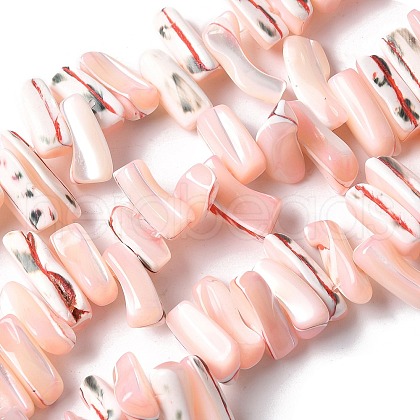 Dyed Natural Trochus Shell Beads Strands SSHEL-C013-09L-1