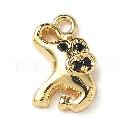 Brass Micro Pave Cubic Zirconia Charms KK-I276-42G-1