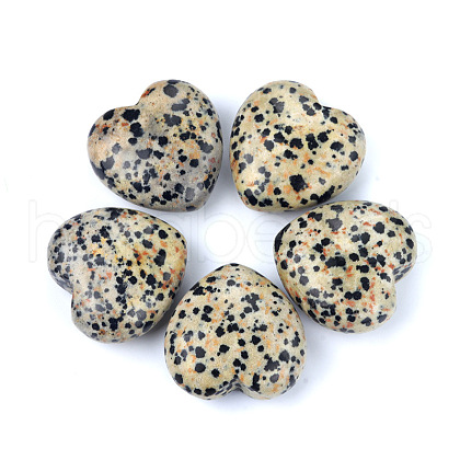 Mother's Day Gifts Natural Dalmatian Jasper Healing Stones PW-WGA91AE-11-1