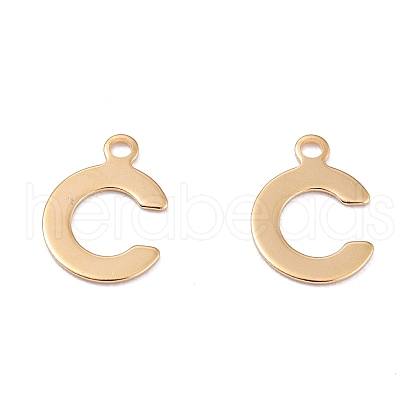 201 Stainless Steel Charms STAS-C021-06G-C-1