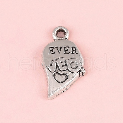Valentine's Day Tibetan Style Alloy Pendants FIND-CJC0019-25B-1