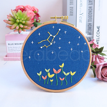 Flower & Constellation Pattern 3D Bead Embroidery Starter Kits DIY-P077-090-1
