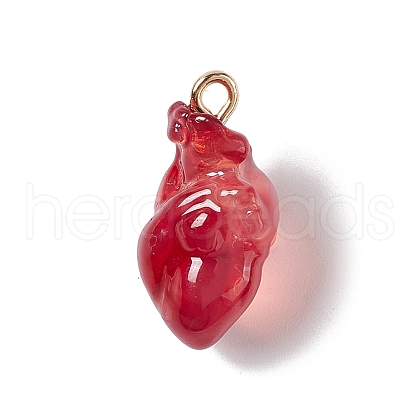 Transparent Resin Pendants RESI-E028-01G-03-1