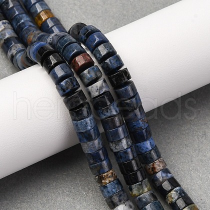 Natural Dumortierite Beads Strands G-Z006-C45-1