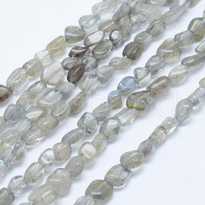 Natural Labradorite Beads Strands G-K203-12-1