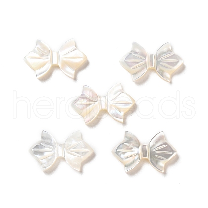 Natural White Shell Beads SSHEL-B002-09-1