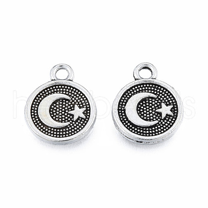 Tibetan Style Alloy Charms TIBEP-N012-15-1