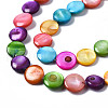 Natural Freshwater Shell Beads Strands SHEL-S278-019A-3