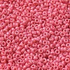 Baking Paint Glass Seed Beads SEED-P006-03A-08-3