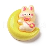 Resin Cabochons X1-CRES-Z010-03M-1