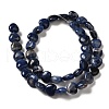 Natural Sodalite Beads Strands G-B022-18B-2