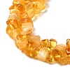 Natural Amber Chip Beads Strands G-E271-81A-3