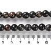 Dyed Natural Regalite/Imperial Jasper/Sea Sediment Jasper Beads Strands G-B124-C01-6
