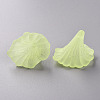 Transparent Acrylic Beads BSF796-C17-2