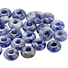 SOFPLATE 30Pcs Natural Blue Spot Jasper European Beads G-SP0001-01A-05-1
