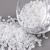 (Repacking Service Available) Glass Seed Beads SEED-C020-2mm-141-1