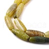 Natural Weathered Agate Beads Strands G-P570-C04-01-3