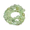 Natural Prehnite Beads Strands G-R445-8x10-25-01-5