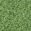 MIYUKI Round Rocailles Beads SEED-JP0008-RR0676-3