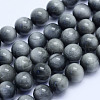 Natural Hawk's Eye Beads Strands G-L478-03-10mm-1