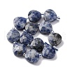 Natural Blue Spot Jasper Beads Strands G-P570-E19-02-3