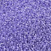 MIYUKI Delica Beads X-SEED-J020-DB0249-3