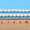 Natural Cultured Freshwater Pearl Beads Strands PEAR-N012-05X-6