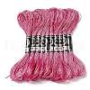 10 Skeins 12-Ply Metallic Polyester Embroidery Floss OCOR-Q057-A16-1