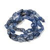 Natural Kyanite Beads Strands G-Q060-D17-3