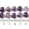 Natural Amethyst Beads Strands G-P570-E17-01-5