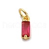 Brass Pave Cubic Zirconia Charms KK-F894-13G-05-1
