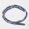Natural Sodalite Beads Strands X-G-G968-D02-2