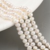 Natural Cultured Freshwater Pearl Beads Strands PEAR-C003-07E-1