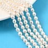 Natural Cultured Freshwater Pearl Beads Strands PEAR-I007-01A-02A-1