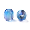 Painted Acrylic Beads OACR-Z010-03E-2