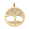 Hollow Out 304 Stainless Steel Pendants STAS-G342-01G-1