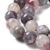 Natural Plum Blossom Tourmaline Beads Strands G-I355-01C-01-3