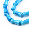 Natural Freshwater Shell Beads Strands SHEL-N026-213-B02-3