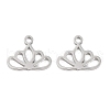 Non-Tarnish 316 Surgical Stainless Steel Charms STAS-C096-07P-1