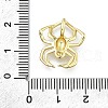 Brass Pendants KK-K400-12G-3