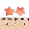Imitation Candy Food Style Resin Cabochons RESI-R461-02A-4