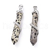 Natural Dalmatian Jasper Big Pointed Pendants G-F696-B08-3