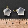 Natural Agate Star Pendants G-U025-03G-3