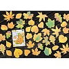 50Pcs Maple Leaf Theme Paper Stickers STIC-P017-C02-3