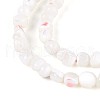 Natural Trochid Shell/Trochus Shell Beads Strands SSHEL-N040-07-3