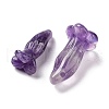 Natural Amethyst Pendants G-K383-01B-2